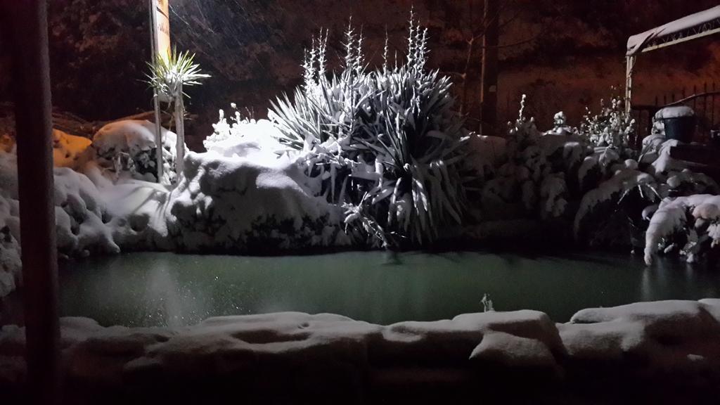Alesta Butik Otel Ağva Eksteriør bilde